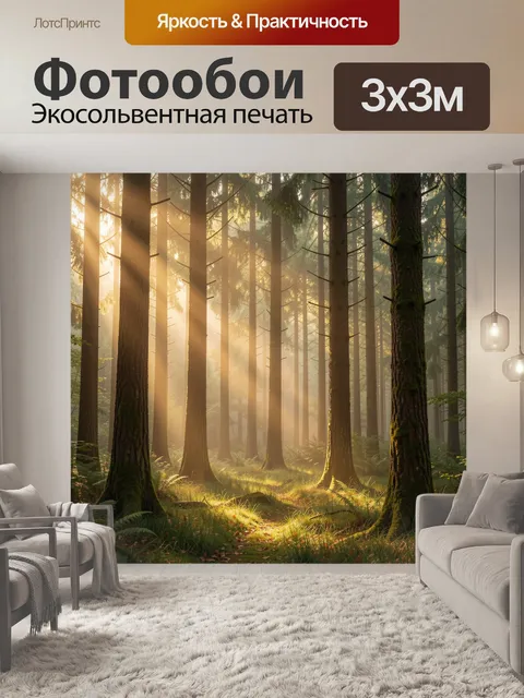 Фотообои Солнечные лучи в хвойном лесу