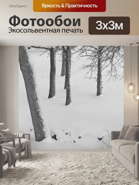 Фотообои Заснеженные Крик