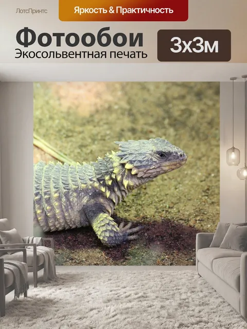 Фотообои Пояс хвост
