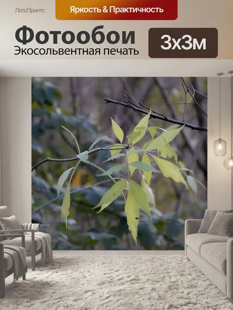 Фотообои Листья