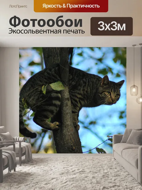 Фотообои Кошка