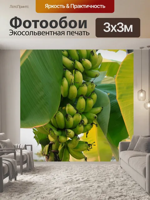 Фотообои Природа