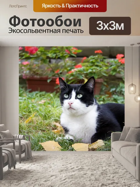 Фотообои Кошка