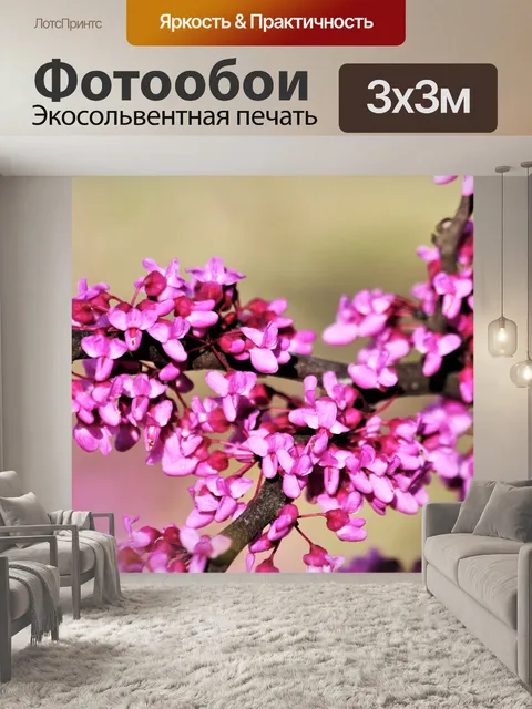 Фотообои Красное дерево цветет крупным планом
