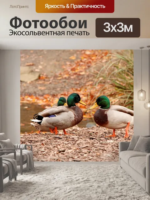 Фотообои Дак танец