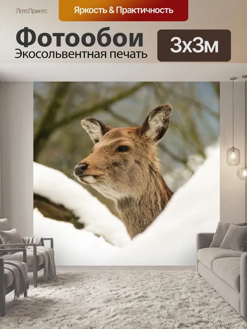Фотообои Олень