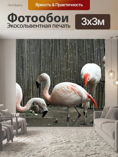 Фотообои Розовые фламинго