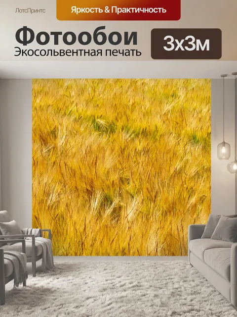 Фотообои Поля