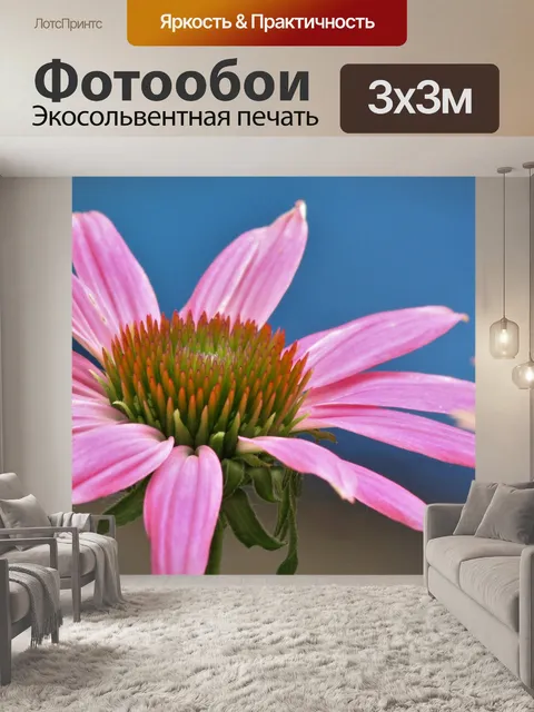 Фотообои Розовый конусообразный крупный план 2