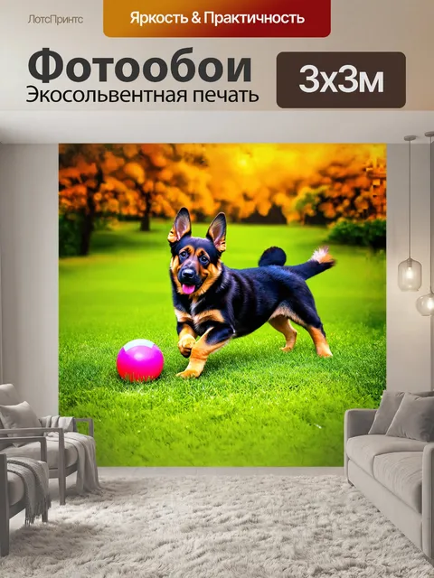Фотообои игривый щенок немецкой овчарки, играющий с ярким мячом на зеленом газоне