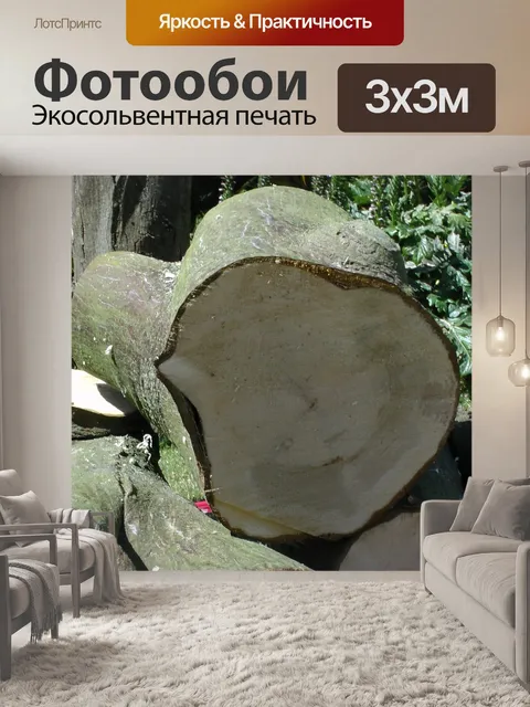 Фотообои Свежесрезанных журналы