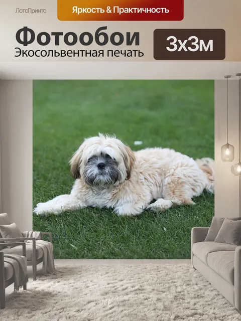 Фотообои Щенок