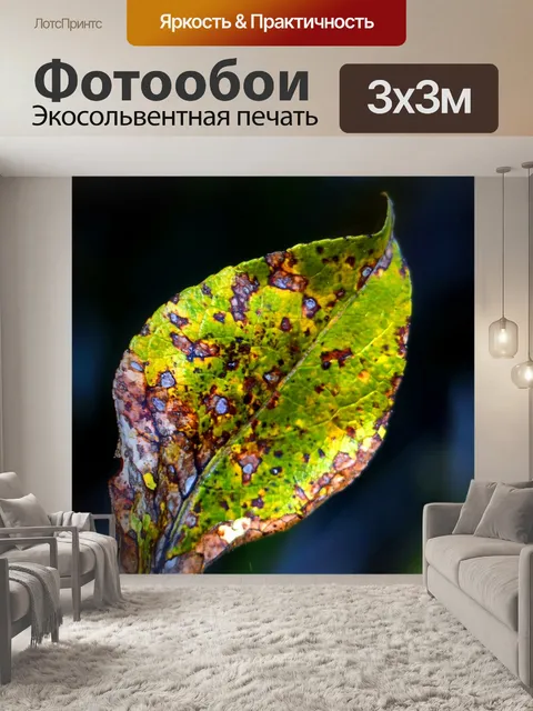 Фотообои Засохший
