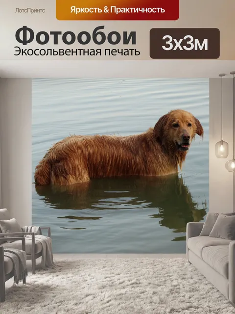 Фотообои Собака