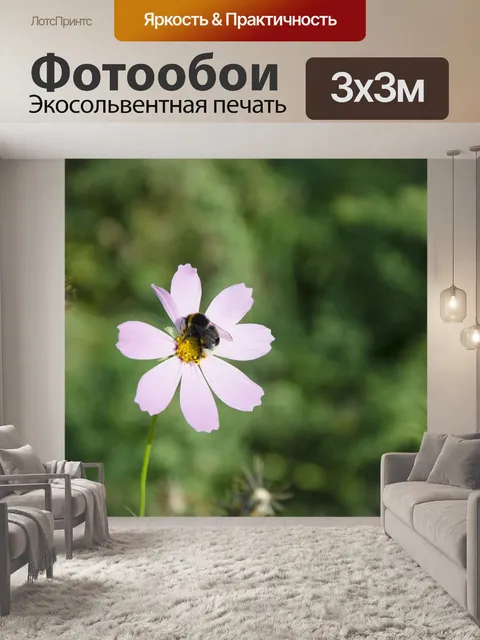 Фотообои Bee