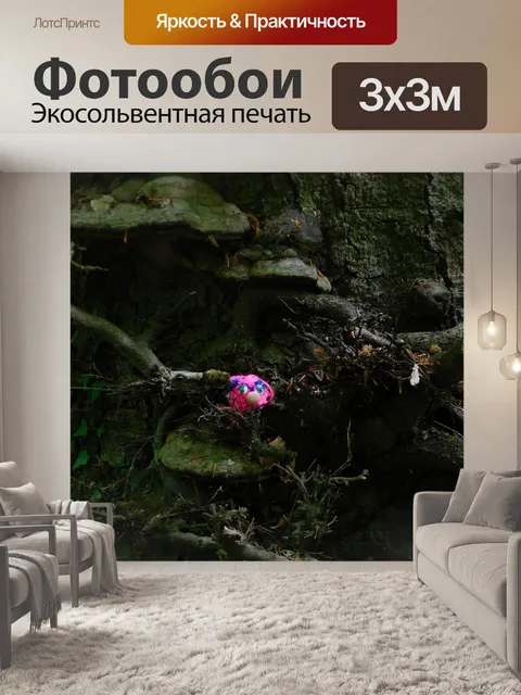 Фотообои Лес