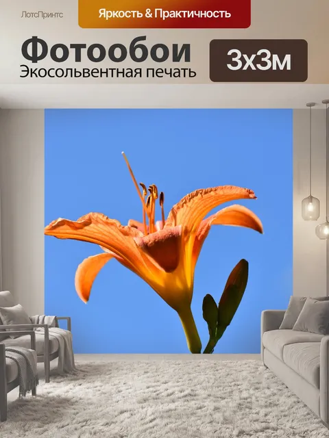 Фотообои Лилейник