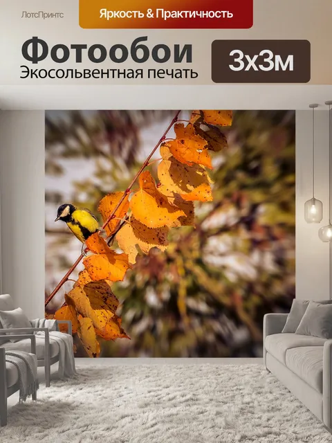 Фотообои Падение