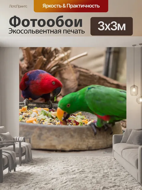 Фотообои Птицы