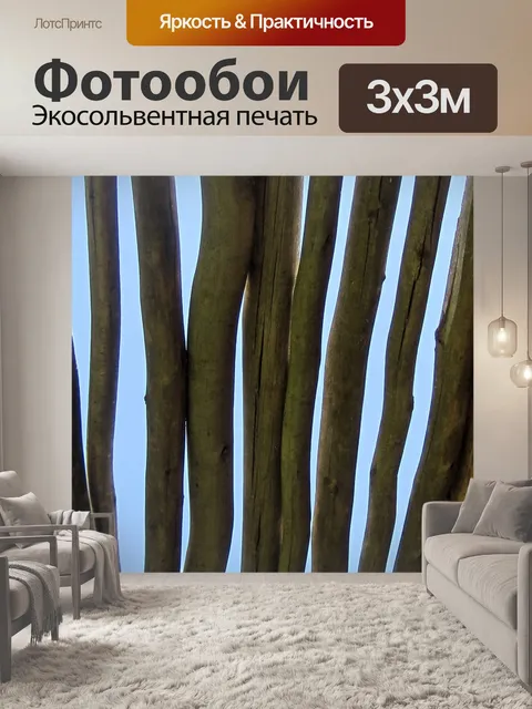 Фотообои Надземная крыша