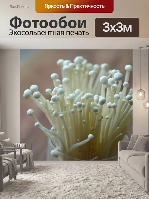 Фотообои Золотая игла грибов
