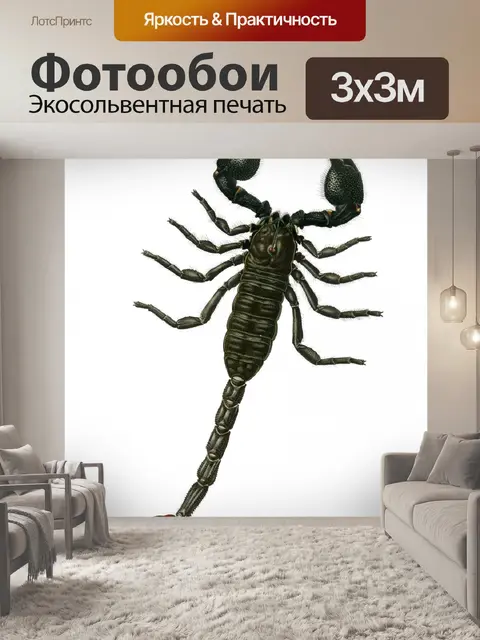 Фотообои Клипарт Scorpio vintage art