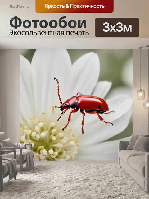 Фотообои красный на белом цветке