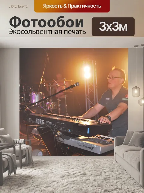 Фотообои В концертном VI