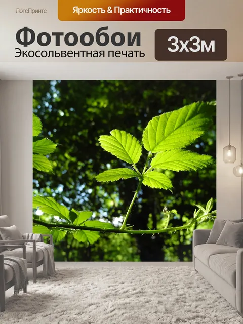 Фотообои Зеленые листья
