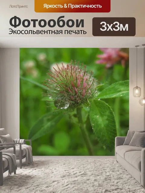 Фотообои Капля дождя