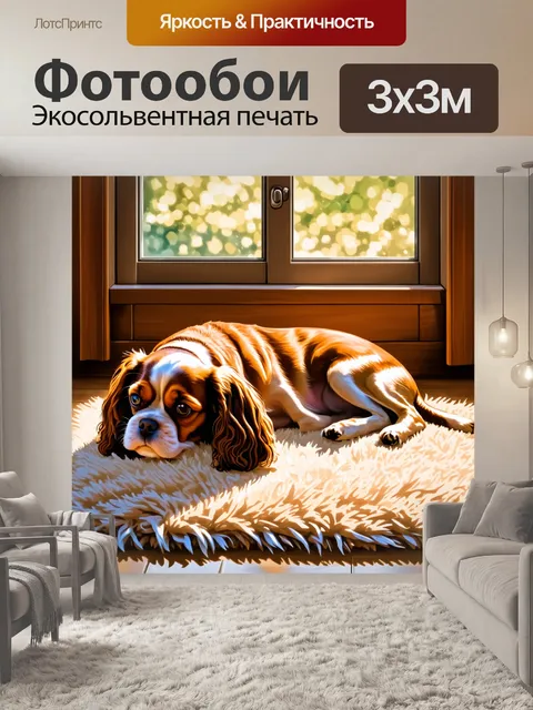 Фотообои в уютной комнате, где свет проникает через окно, кавалер кинг чарльз спаниель мирно спит на мягком ковре