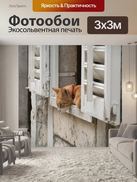 Фотообои Кошка