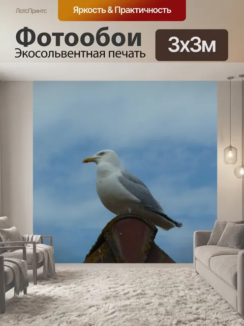 Фотообои Уникальный Чайка сидит на крыше