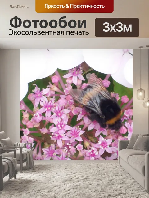 Фотообои Bumble Bee На розовый цветок