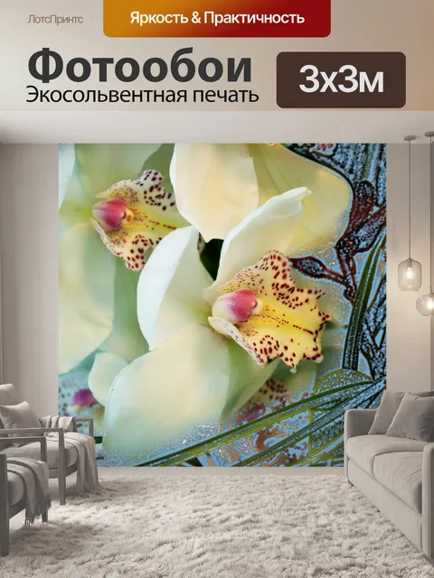 Фотообои Белая орхидея
