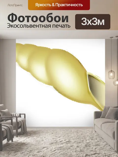 Фотообои Морская ракушка