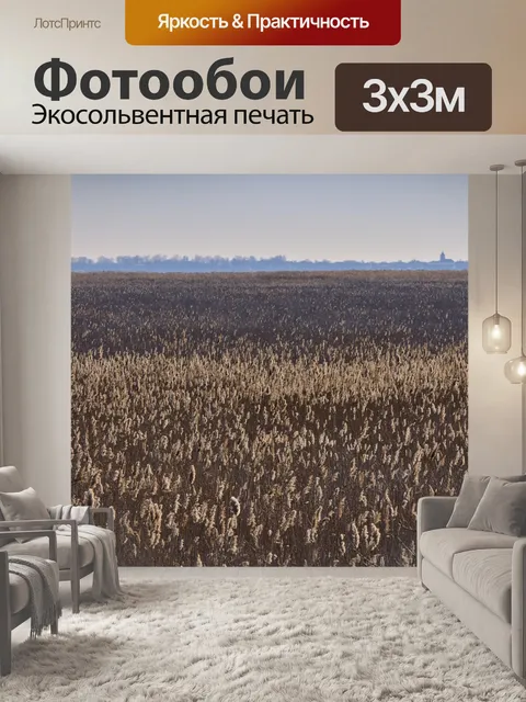 Фотообои Тростник