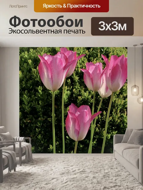 Фотообои Тюльпан