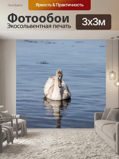 Фотообои Вода