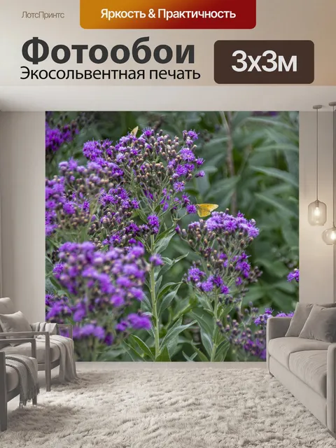 Фотообои бабочка на полевых цветах