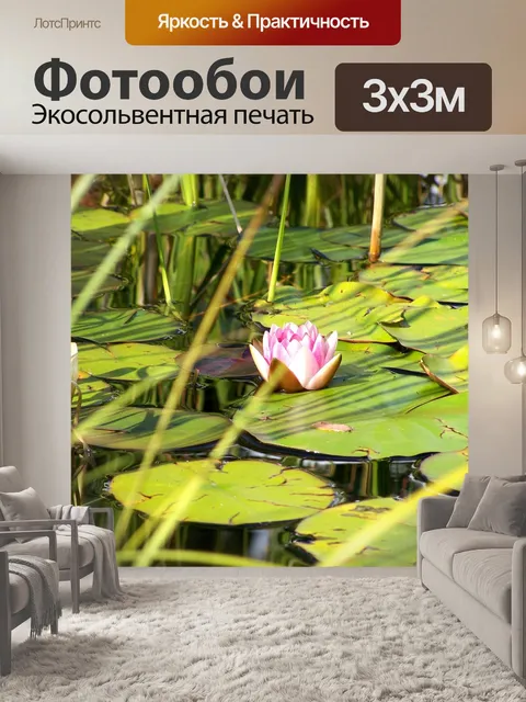 Фотообои Водяная лилия