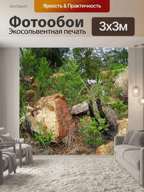 Фотообои лиловоцветущая черная лилия