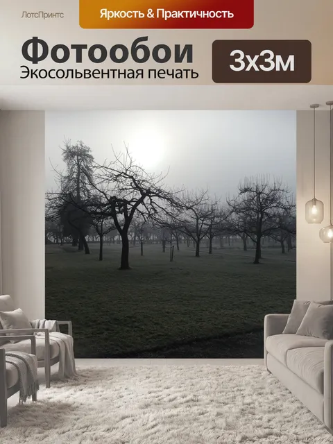 Фотообои Лес
