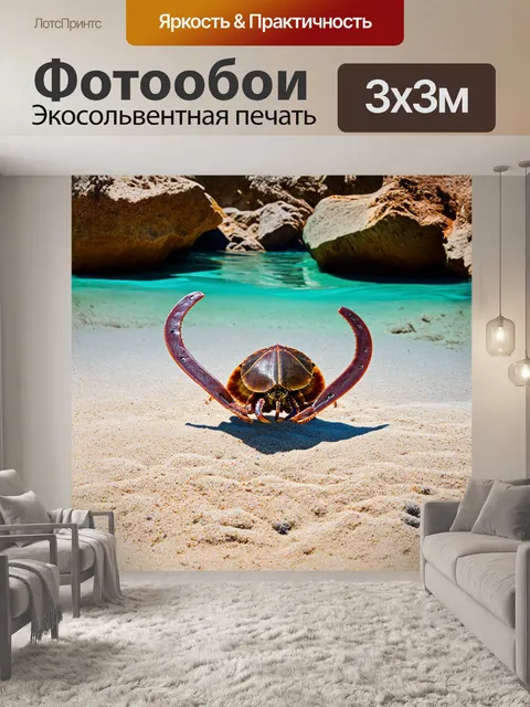 Фотообои мечехвост вырывается из-за камней