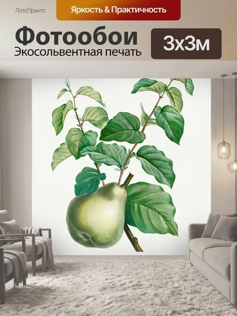 Фотообои Груша винтаж арт старый