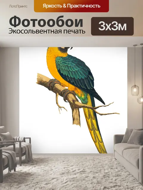 Фотообои Птица Винтаж Ара Клипарт