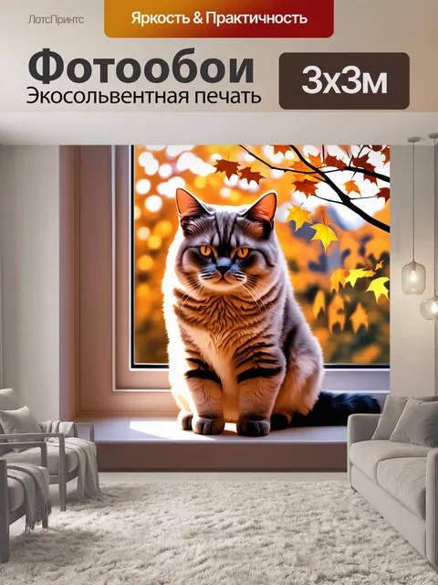 Фотообои британская короткошерстная кошка, сидящая на подоконнике в теплый вечер, с листьями падения за окном
