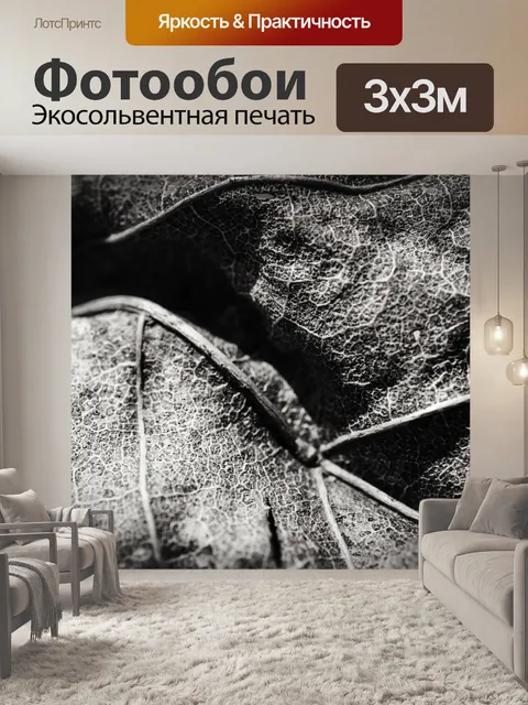 Фотообои Лист