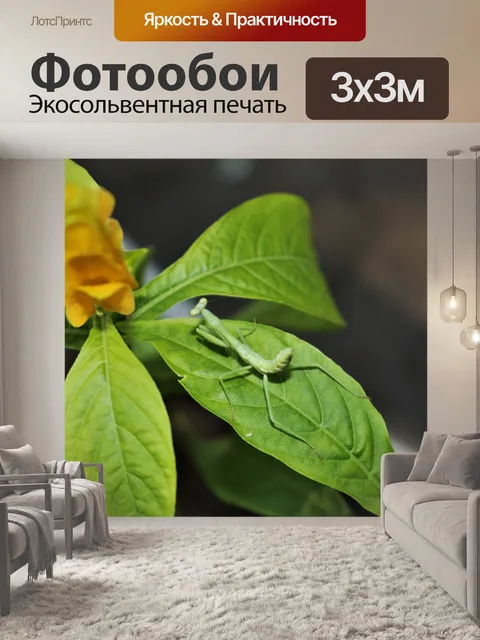 Фотообои Богомол покоится на листе