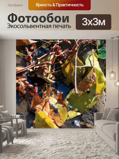 Фотообои листья и ветки в луже